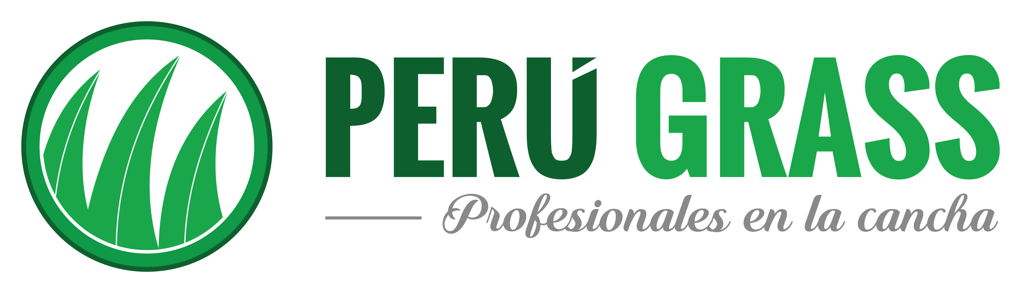 logo perugrass